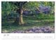 Thumbnail-8