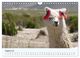Thumbnail-10