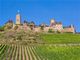 Thumbnail-3