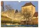 Thumbnail-14