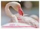 Thumbnail-14