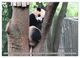 Thumbnail-11