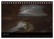 Thumbnail-9