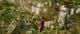 Thumbnail-8