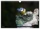 Thumbnail-12