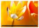 Thumbnail-13