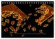 Thumbnail-8