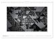 Thumbnail-14