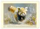 Thumbnail-10