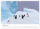 Thumbnail-13