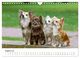 Thumbnail-10