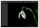 Thumbnail-11