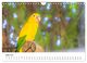 Thumbnail-11
