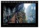 Thumbnail-12