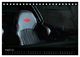 Thumbnail-10