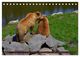 Thumbnail-9