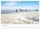 Thumbnail-14