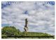 Thumbnail-14