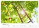 Thumbnail-13