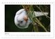 Thumbnail-9