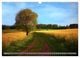 Thumbnail-9