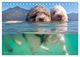 Thumbnail-12