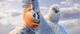 Thumbnail-11