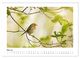 Thumbnail-10