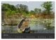 Thumbnail-10