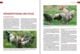 Thumbnail-11