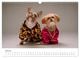 Thumbnail-12