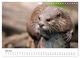 Thumbnail-11