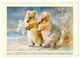Thumbnail-12