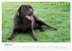 Thumbnail-13