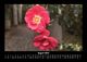 Thumbnail-12