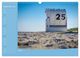 Thumbnail-14