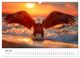 Thumbnail-9