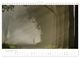Thumbnail-14