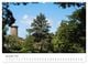 Thumbnail-13