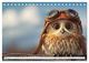 Thumbnail-8