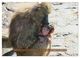 Thumbnail-14