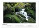 Thumbnail-12