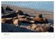 Thumbnail-13