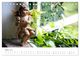Thumbnail-8