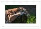 Thumbnail-9