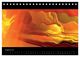 Thumbnail-10