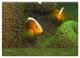 Thumbnail-12