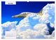 Thumbnail-10