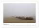 Thumbnail-14