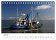 Thumbnail-11